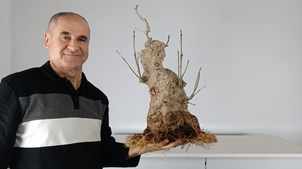 F 1. Fresno 350 euros con envio gratis peninsula.