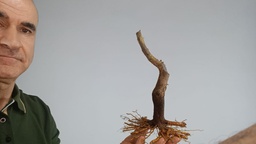 G 9. Granado nejikan 120 euros envio incluido peninsula y Portrugal. Passport 25/00006