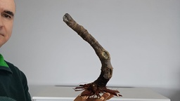 T 8 Tamarix 120 euros con envio gratis peninsula.