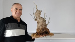 F 1. Fresno 350 euros con envio gratis peninsula.