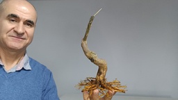 G 26. Granado nejikan 120 euros con envio gratis peninsula.